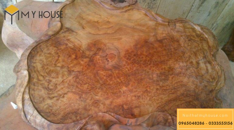Mặt cắt của gỗ gù hương chưa qua xử lý