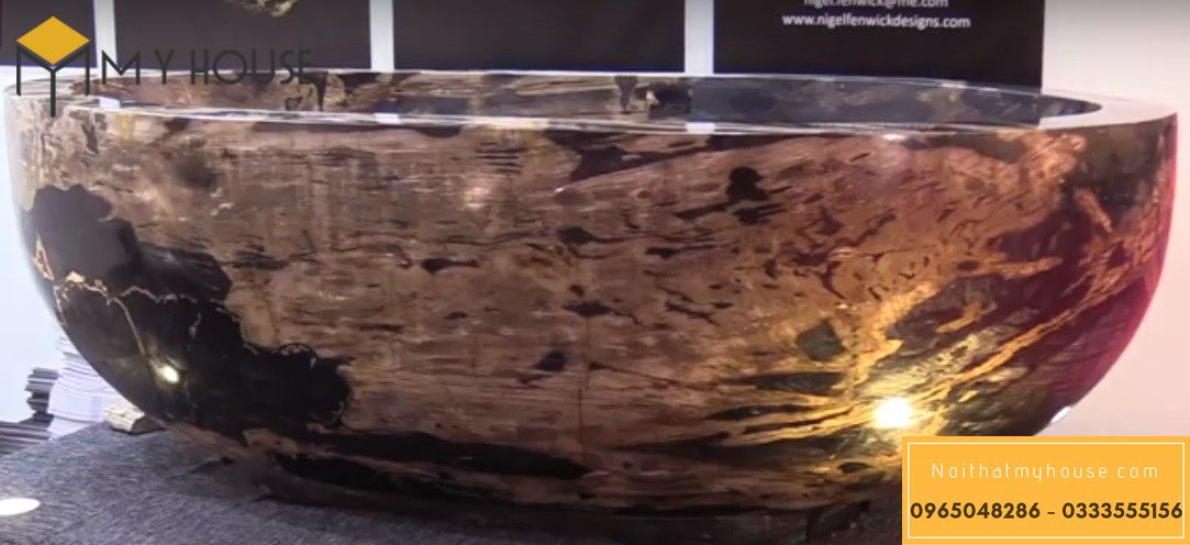 Bồn tắm quý hiếm từ gỗ hóa thạch