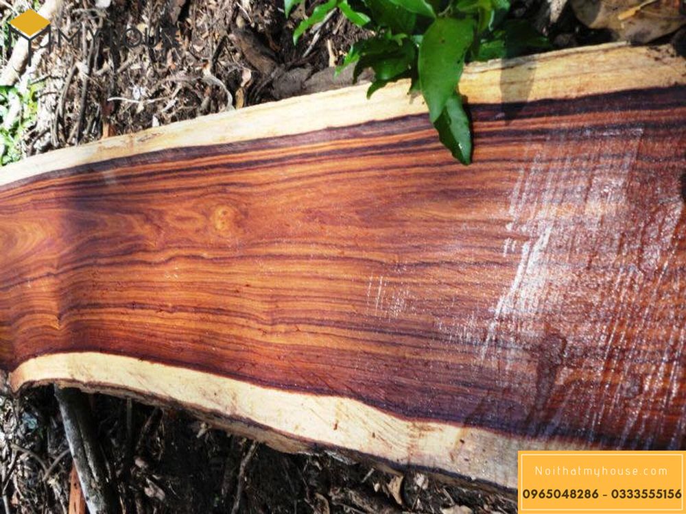 Cách nhận biết gỗ hương đơn giản nhất