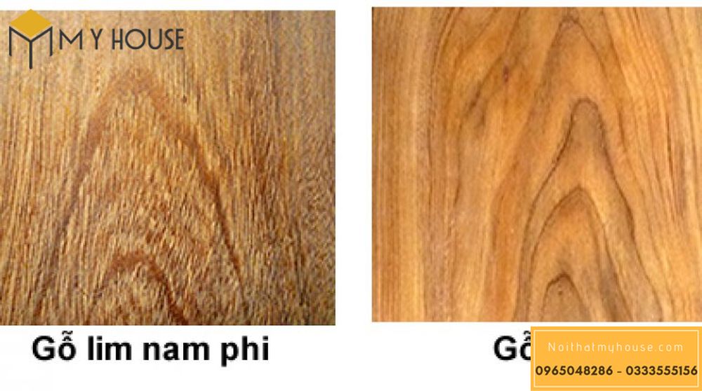 So sánh gỗ lim Lào và gỗ lim Nam Phi