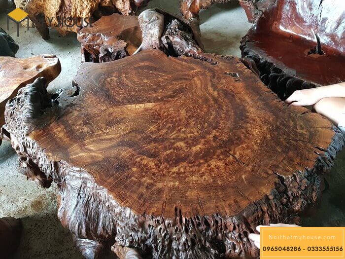 Hình ảnh mặt cắt gỗ nua kháo dùng để làm bàn