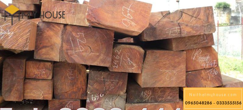 Tìm hiểu trọng lượng riêng của gỗ - 1m3 gỗ bằng bao nhiêu m2?
