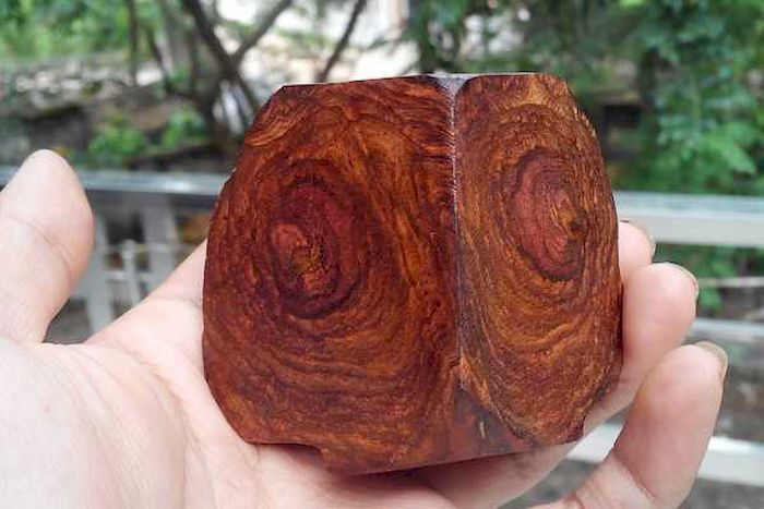 Hình dạng gỗ sưa đỏ
