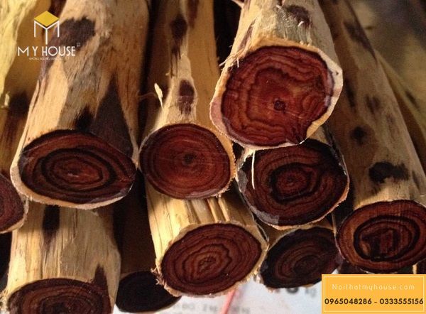Cách nhận biết gỗ trắc đỏ?
