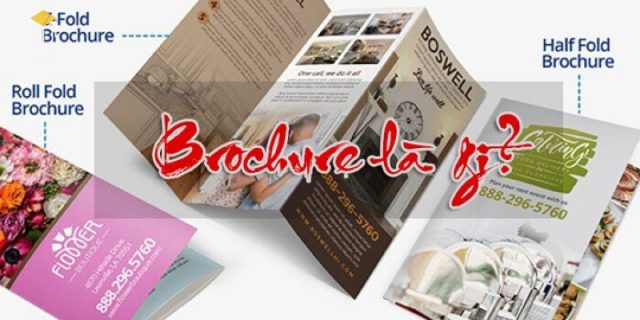 Brochure là gì? 7