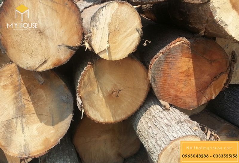 Nguyên liệu làm tủ bếp gỗ sồi này là chất liệu rất thông dụng ở các nước phương Tây