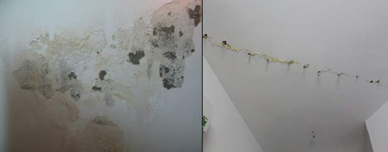 Nước ngưng đọng gây ra bong tróc sơn tường