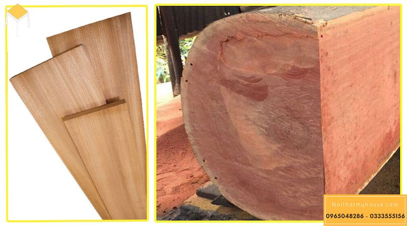 Gỗ sồi và gỗ xoan đào gỗ nào tốt hơn?
