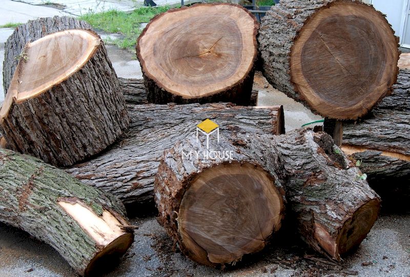 Chất liệu gỗ óc chó cao cấp, nhập khẩu từ Bắc Mỹ, sản xuất tại xưởng nội thất My House