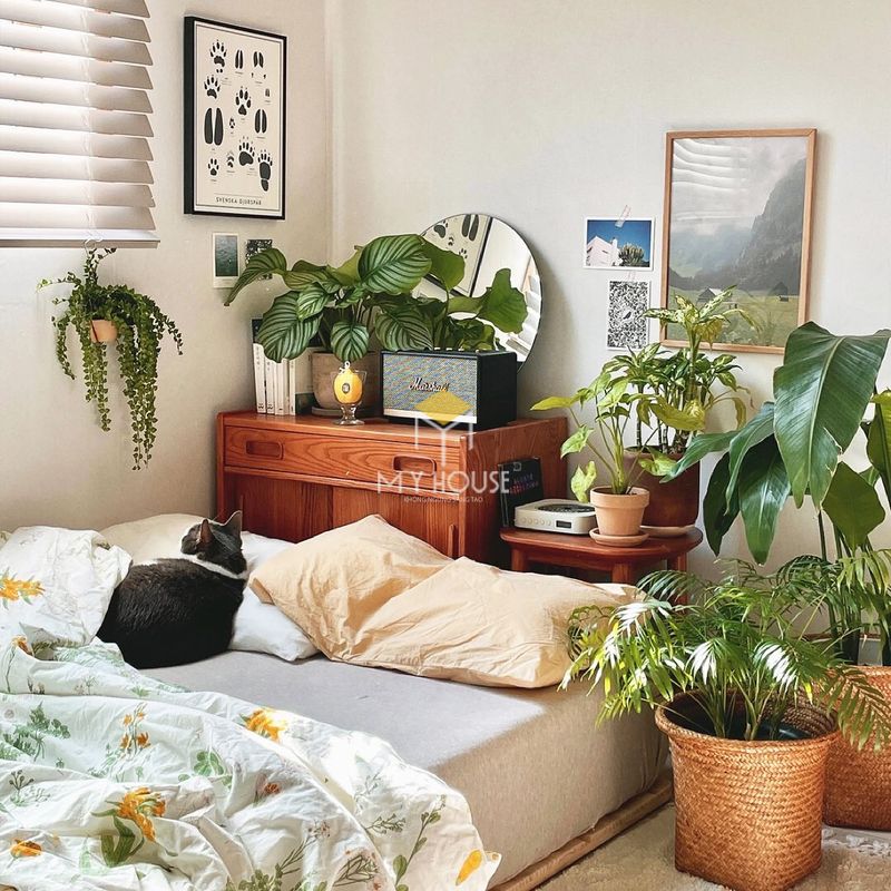 Đồ decor phòng ngủ bằng cây xanh, thanh lọc không khí